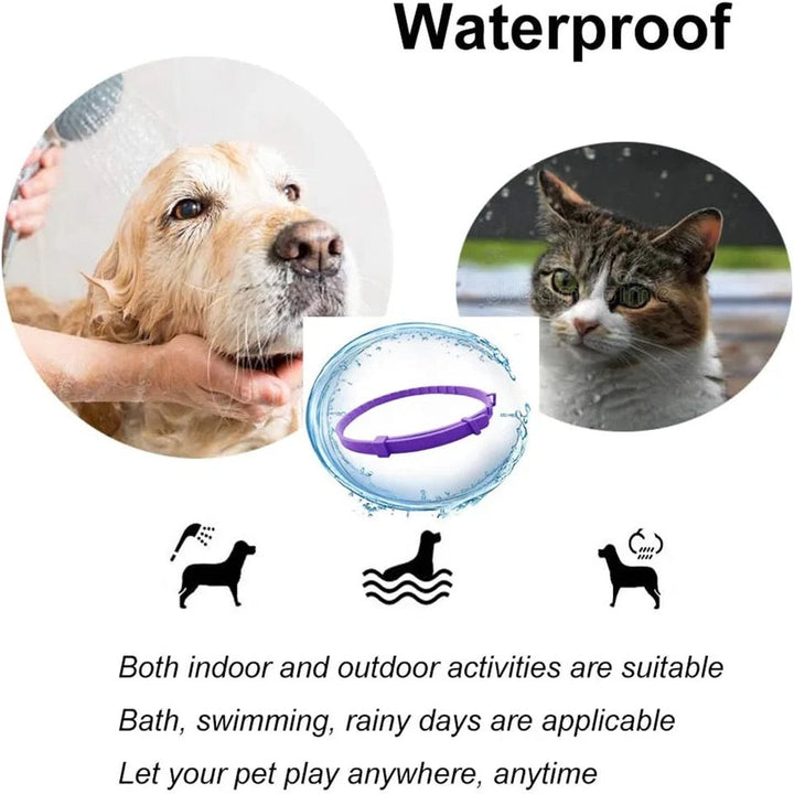 Pheromone Beroligende Krage for Hunder og Katter Skanto