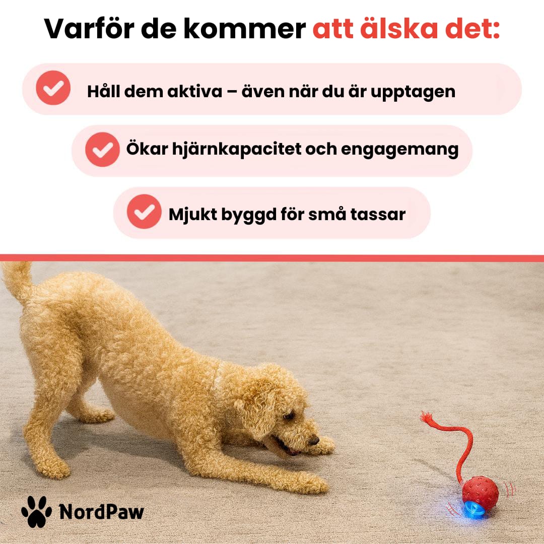 Skanto | PawTail | Speedy Tail Hund Jakke Lett Vannavstøtende Pustende