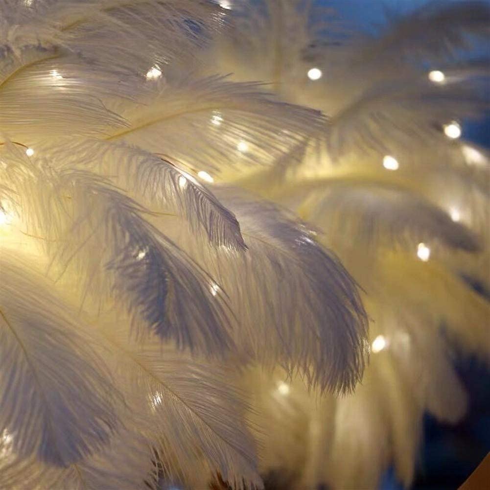 Ostrich Night Light | Eccentrisk Lampe med Fjær & Roségull Base | Skanto