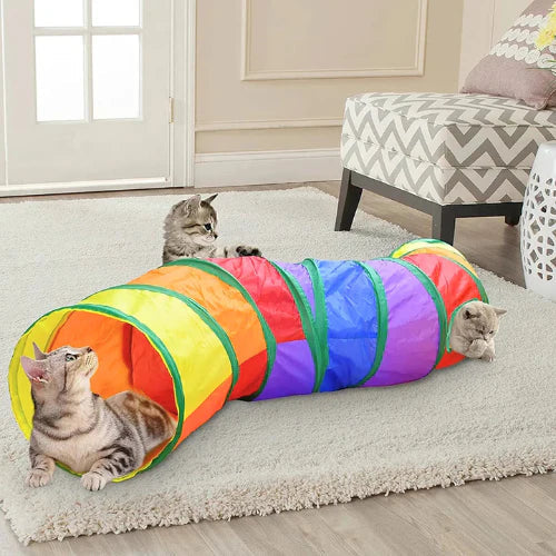Rainbow Cat Tunnel – PlayFun Tunnel Skanto