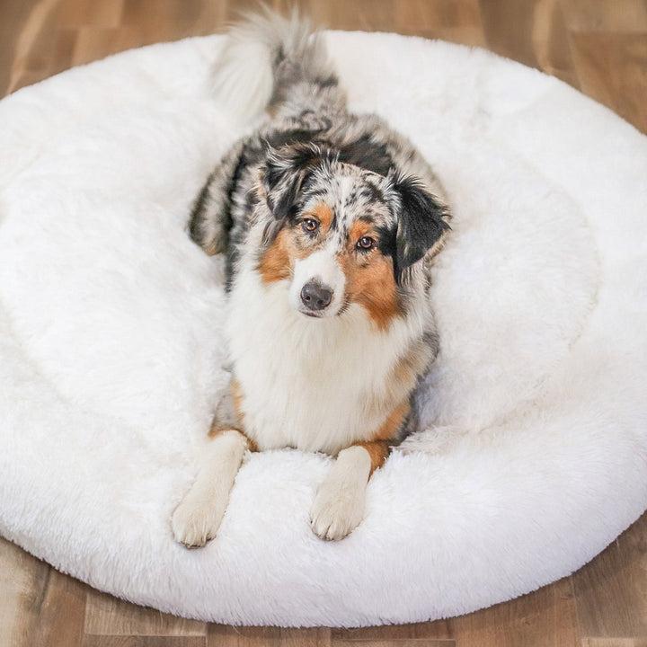 Skanto | FluffyNest Komfort Hundeseng – Ortopedisk Plysj Sovepute for Hunder