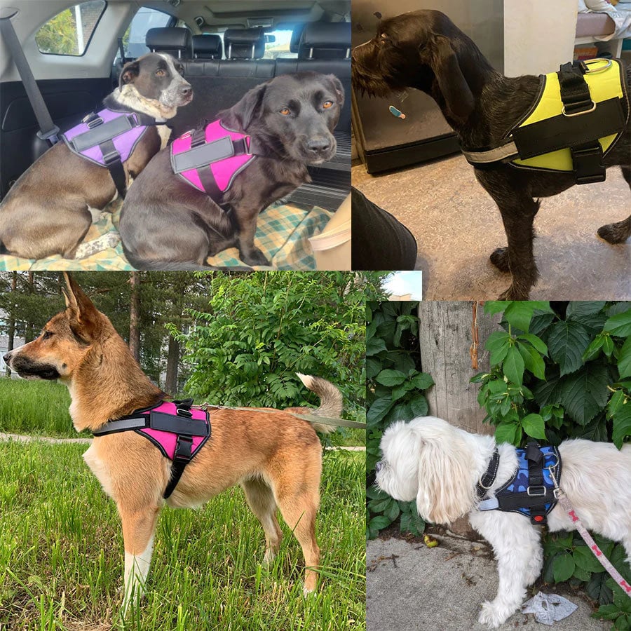 Skanto | Anti Kvelnings Hundesele