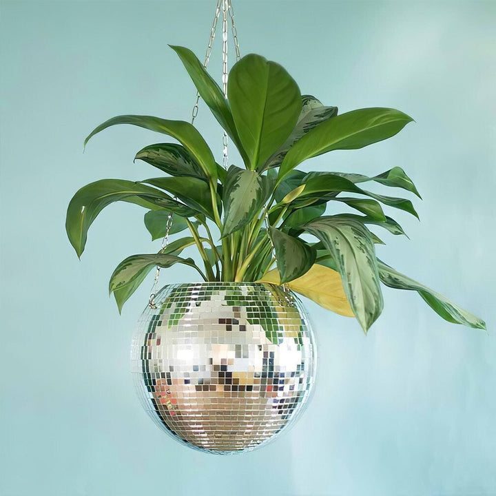 Skanto | Disco Ball Hengende Plante