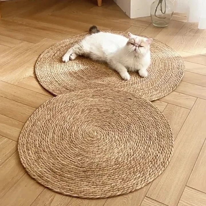 Skanto | KrazeLuxe Matt — Endelig fred fra kløe-kaos og den favorittplassen for katten din