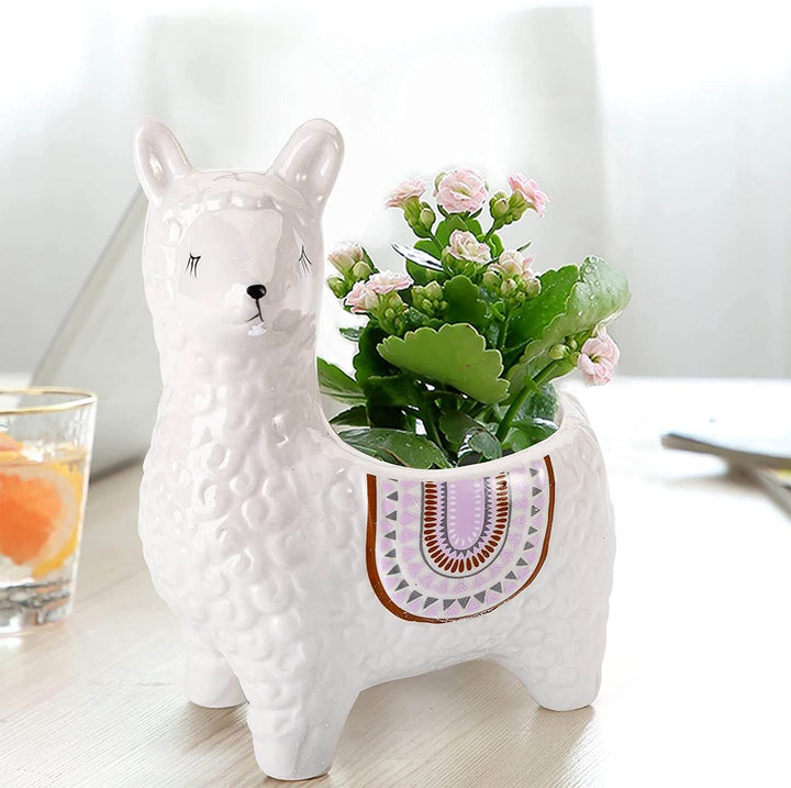 Skanto | Alpaca keramiske potter for plantene dine