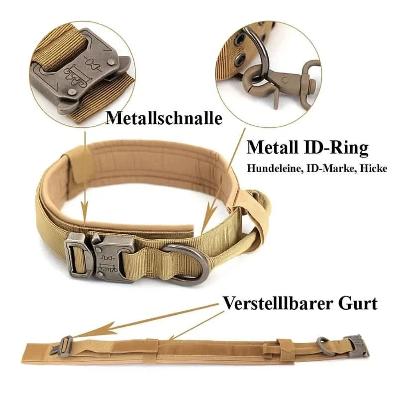 Skanto | Robust og komfortabelt design for sikker trening