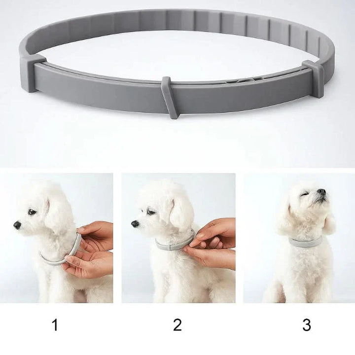 Skanto | FLASHIELD COLLAR – Urte lopper & flått beskyttelseskrage for hunder & katter