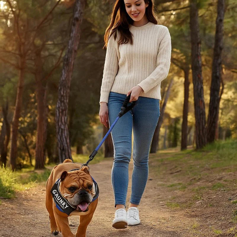 Skanto | Personlig tilpasset hundesele for komfort og sikkerhet