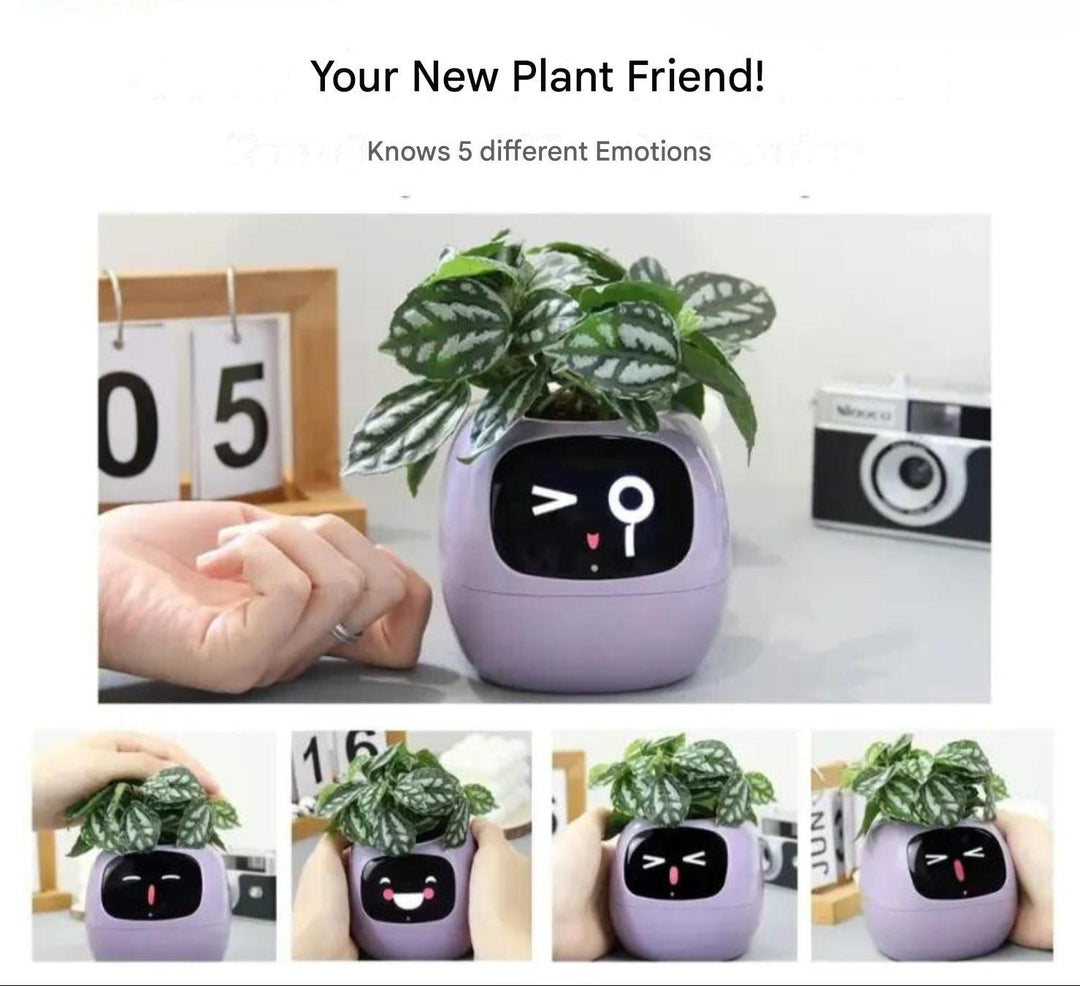 Skanto | Automatisk Smart Blomsterpotte - GreenBuddy SmartPot