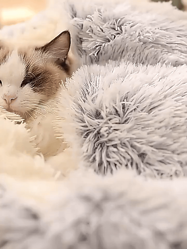 Skanto | Cozy Cave Pet Bed | Beroligende og Komfortabel Hundeseng for Dyp Avslapning