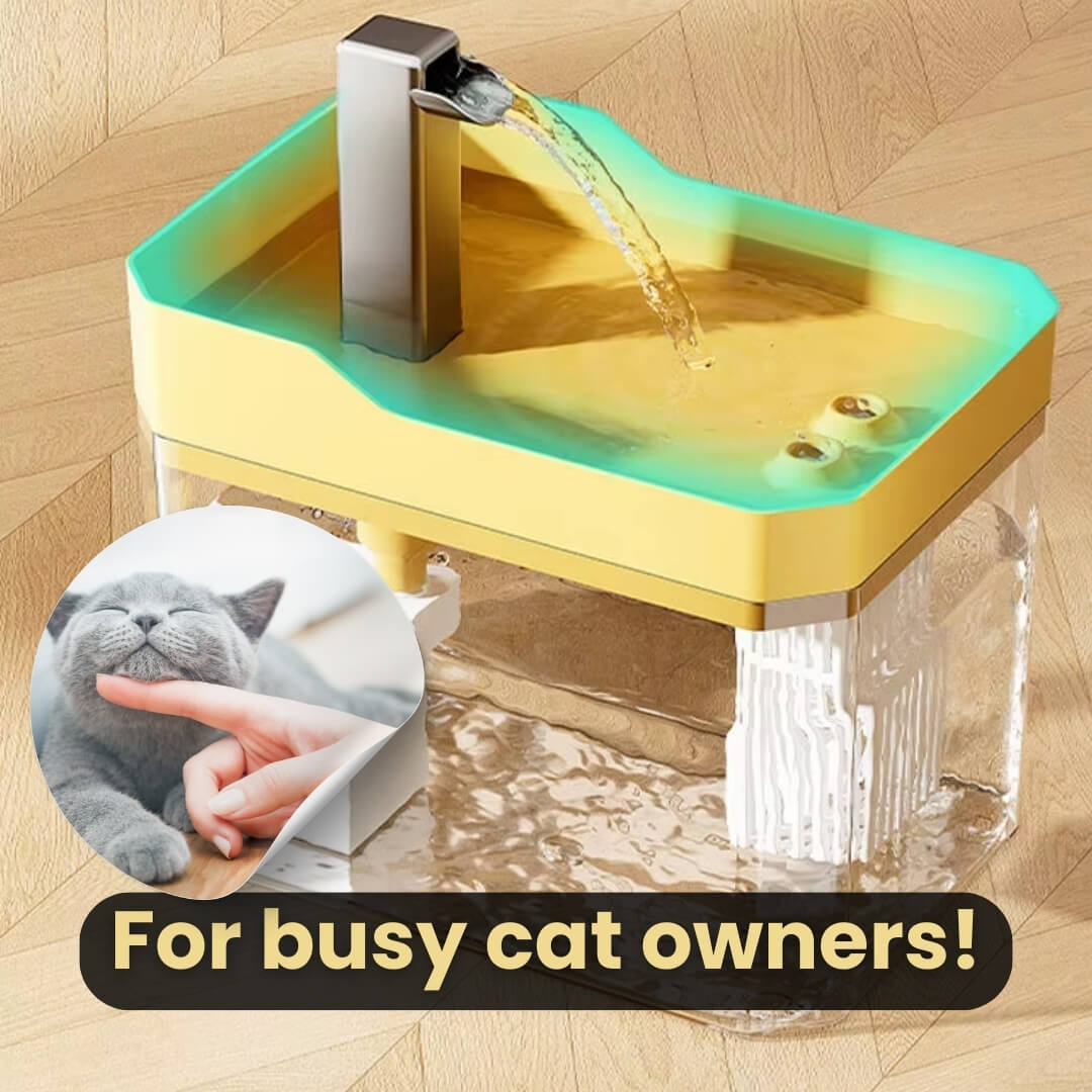 Katt Drikkefontene 360° Sensor 1,5 L Stille | Skanto