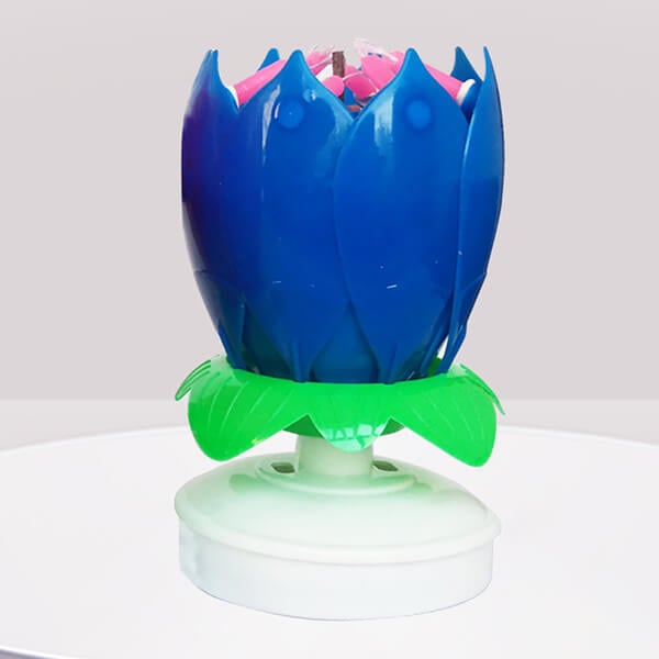 Skanto | 🎂Magical Flowers Birthday Candle