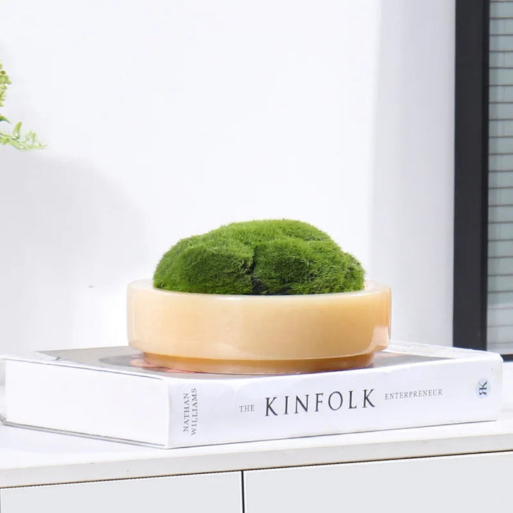 Skanto | Naturlig Marmorstein Mose Blomsterpotte - Luksuriøs Rund Skrivebord Planteboks
