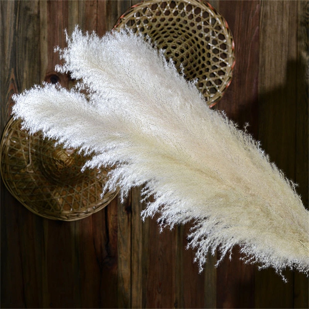 Skanto | FeatherFawn - Tørkede Pampasblomster
