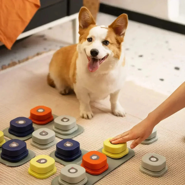 Skanto | BARKTALK – Interaktive Stemmeknapper for Hundekommunikasjon & Trening