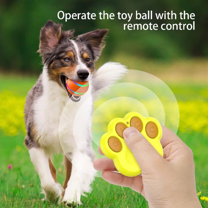 Skanto | Tygg-resistent smart dyreball