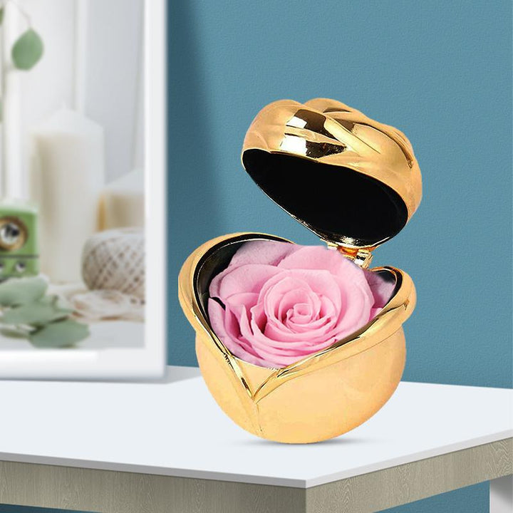 Skanto | Bevarte Blomst Rose