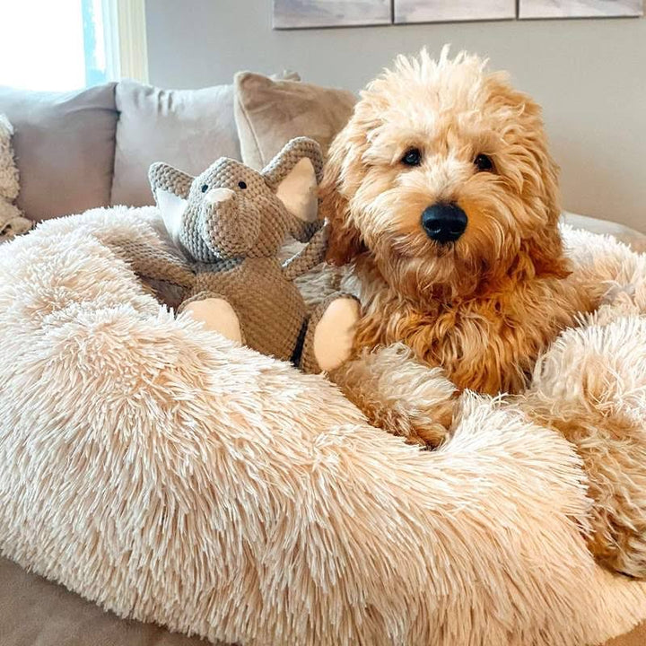Skanto | Beroligende Hundeseng