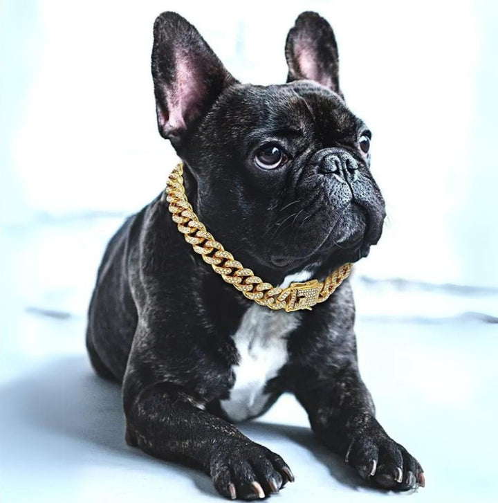 BlingPaws • Hundehalsbånd med gullkjede