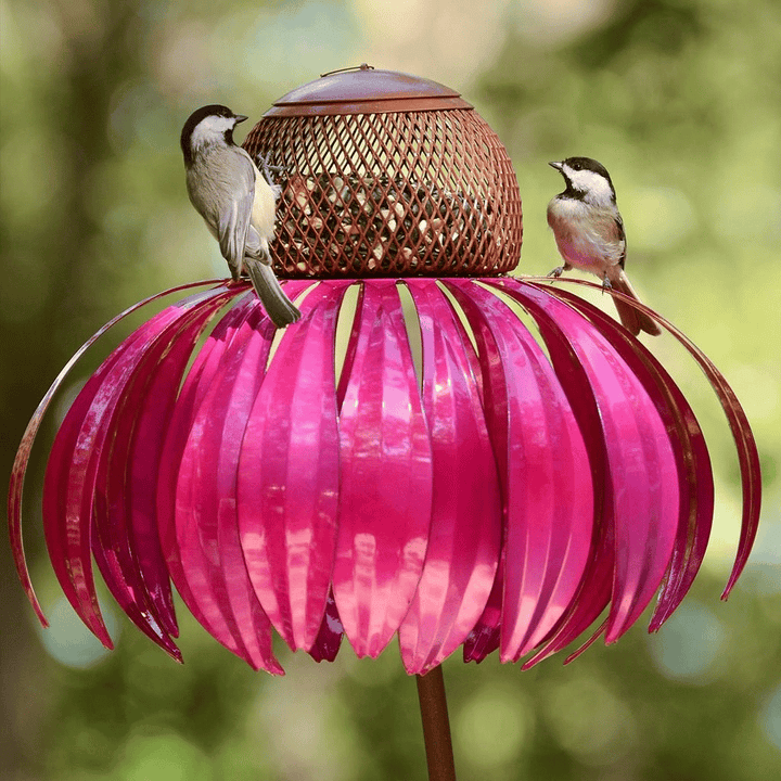 Skanto | BloomFeast – Elegant kjegleformet mater som blander seg med hageblomster.