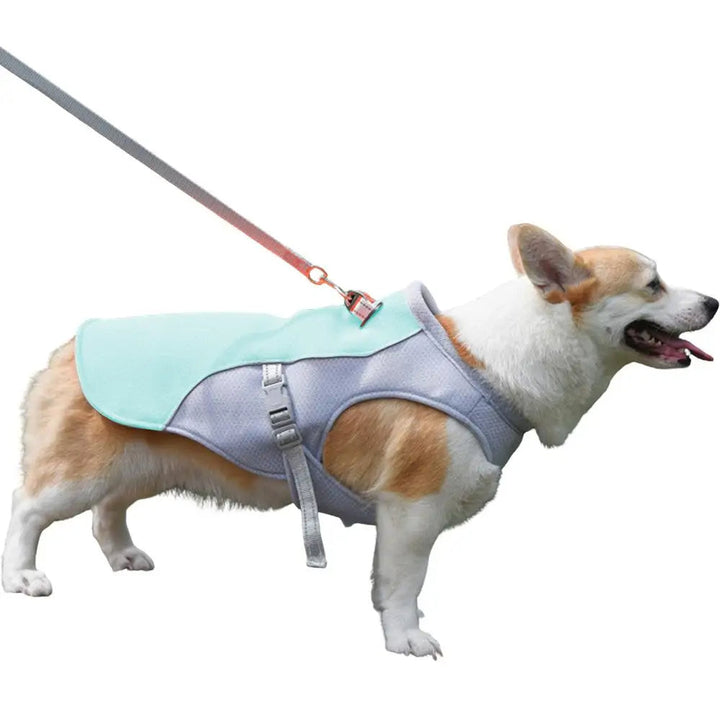 Hund Küling Vest for Utendørs Aktiviteter | Skanto