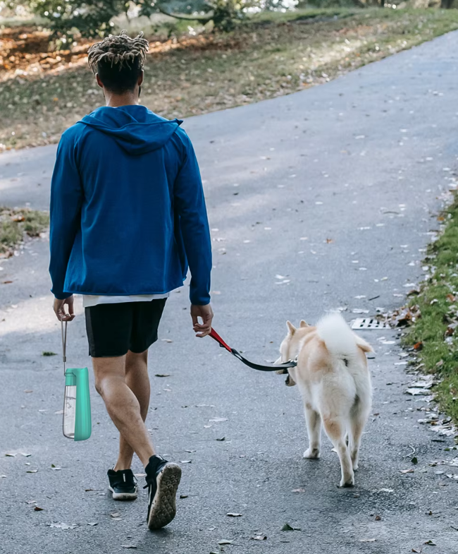 Skanto | Hund Vannflaske - Reise Lekkasjesikker 550ml