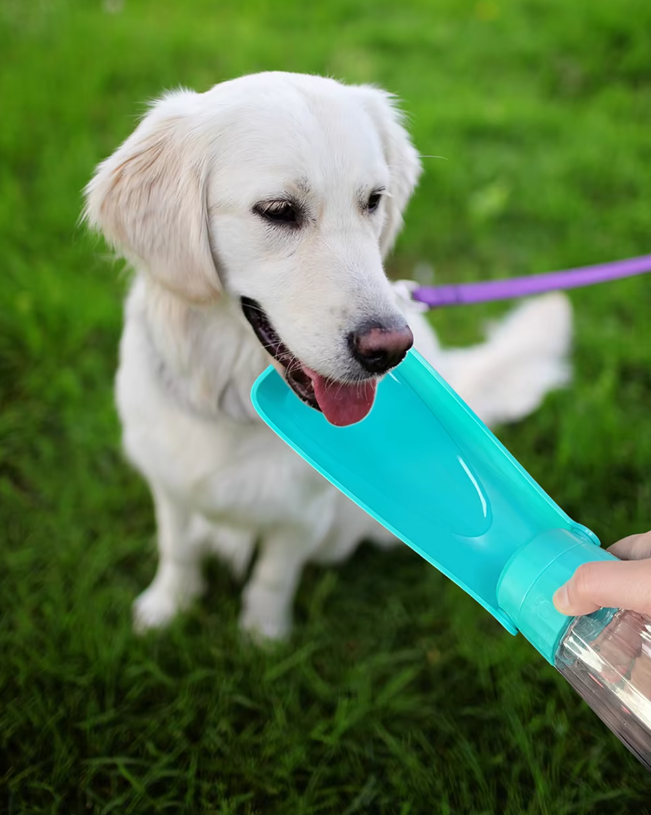 Skanto | Hund Vannflaske - Reise Lekkasjesikker 550ml