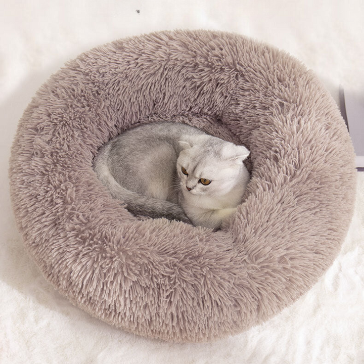 Koselig Sky Katt Seng Skanto