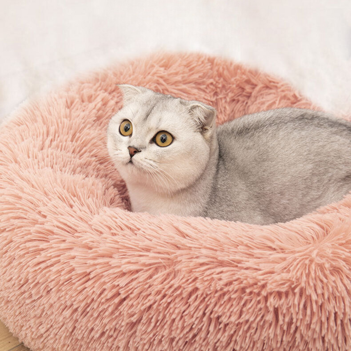 Koselig Sky Katt Seng Skanto