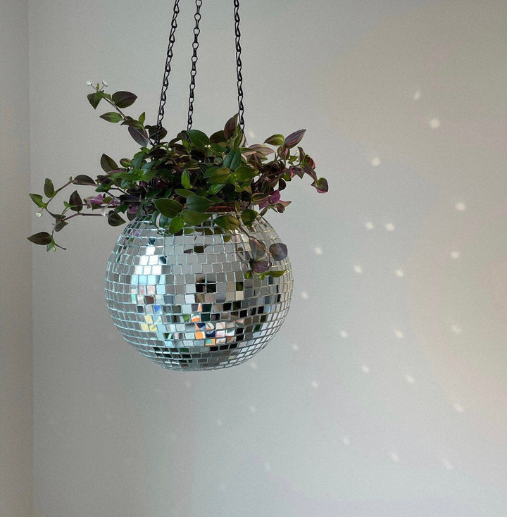 Skanto | Disco Ball Hengende Plante