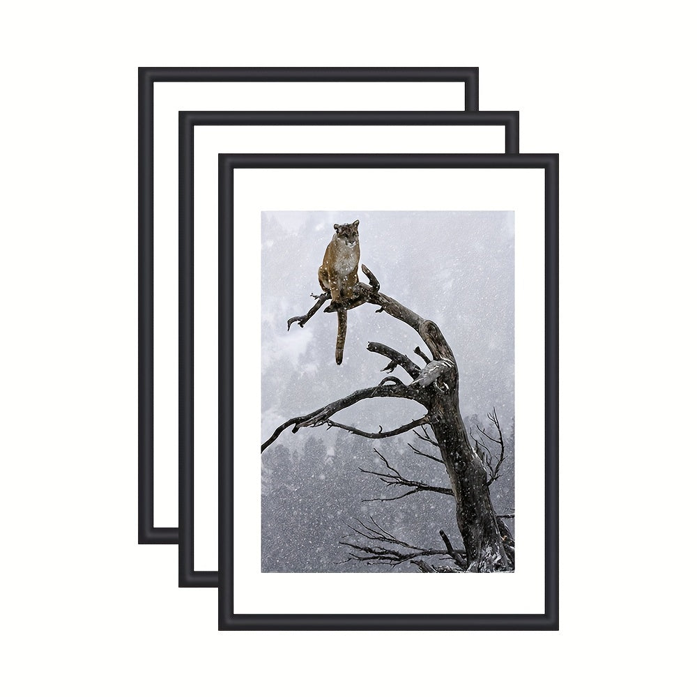 GalleryFrame – Sett med 3 svarte bilde rammer for vegger og bord Skanto