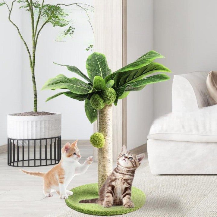 Skanto | Purradise Tree Katt Innendørs Klorestand