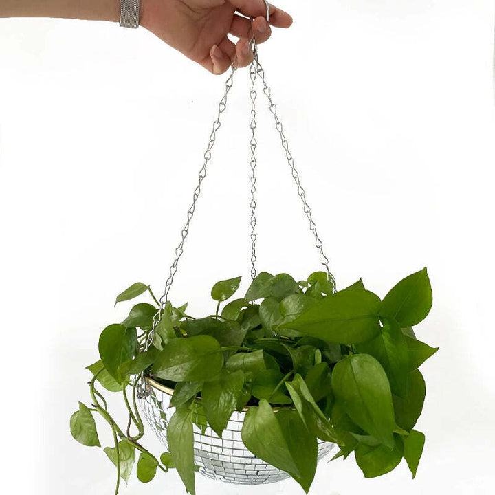 Skanto | Disco Ball Hengende Plante