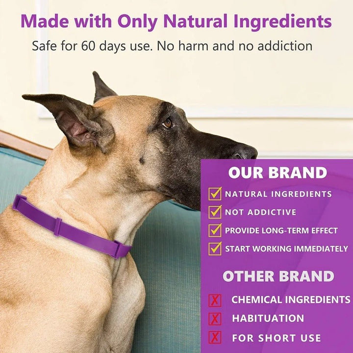 Skanto | Calmdog – Naturlig beroligende krage for hunder med feromoner og essensielle oljer