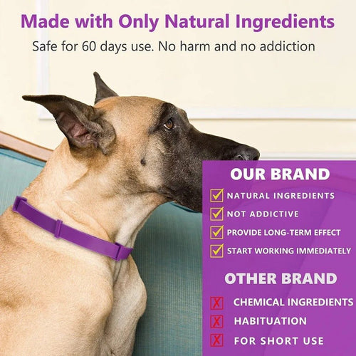 Skanto | Calmdog – Naturlig beroligende krage for hunder med feromoner og essensielle oljer