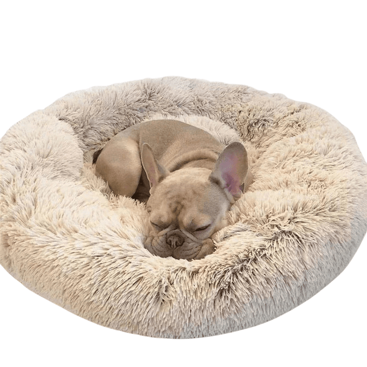 Skanto | SLUMBERPAWS SENG – Beroligende Hundeseng for Dyp, Hvilefull Søvn