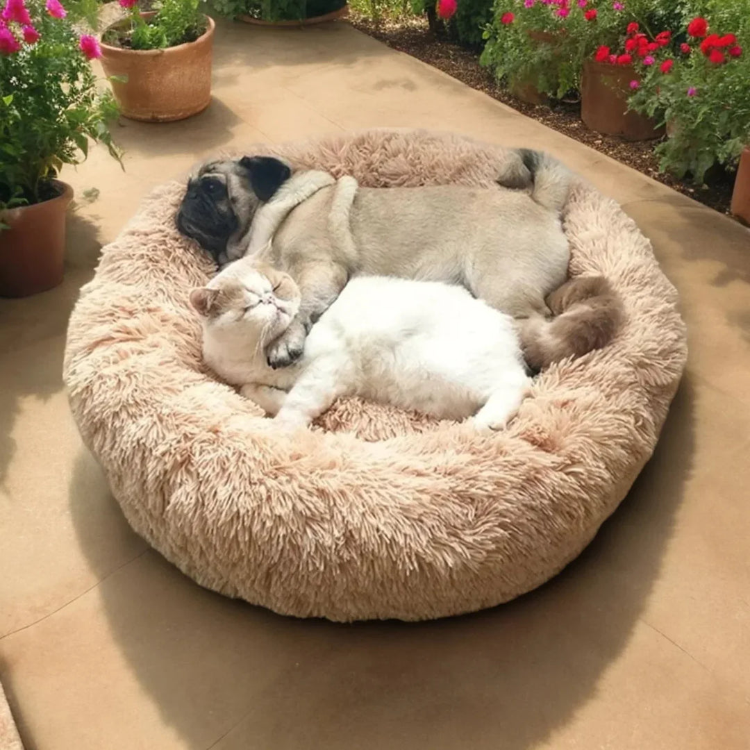 Skanto | SLUMBERPAWS SENG – Beroligende Hundeseng for Dyp, Hvilefull Søvn