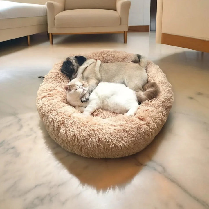Skanto | SLUMBERPAWS SENG – Beroligende Hundeseng for Dyp, Hvilefull Søvn