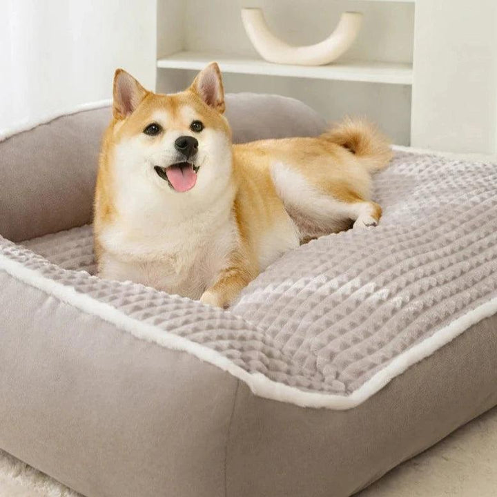 Orthopedisk hundeseng med myk, vaskbar trekk | Skanto