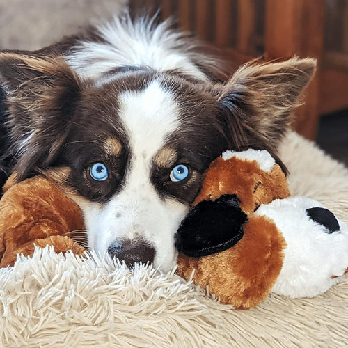 Skanto | Snuggle Puppy - Angsts- og ensomhetsdempende kosedyr