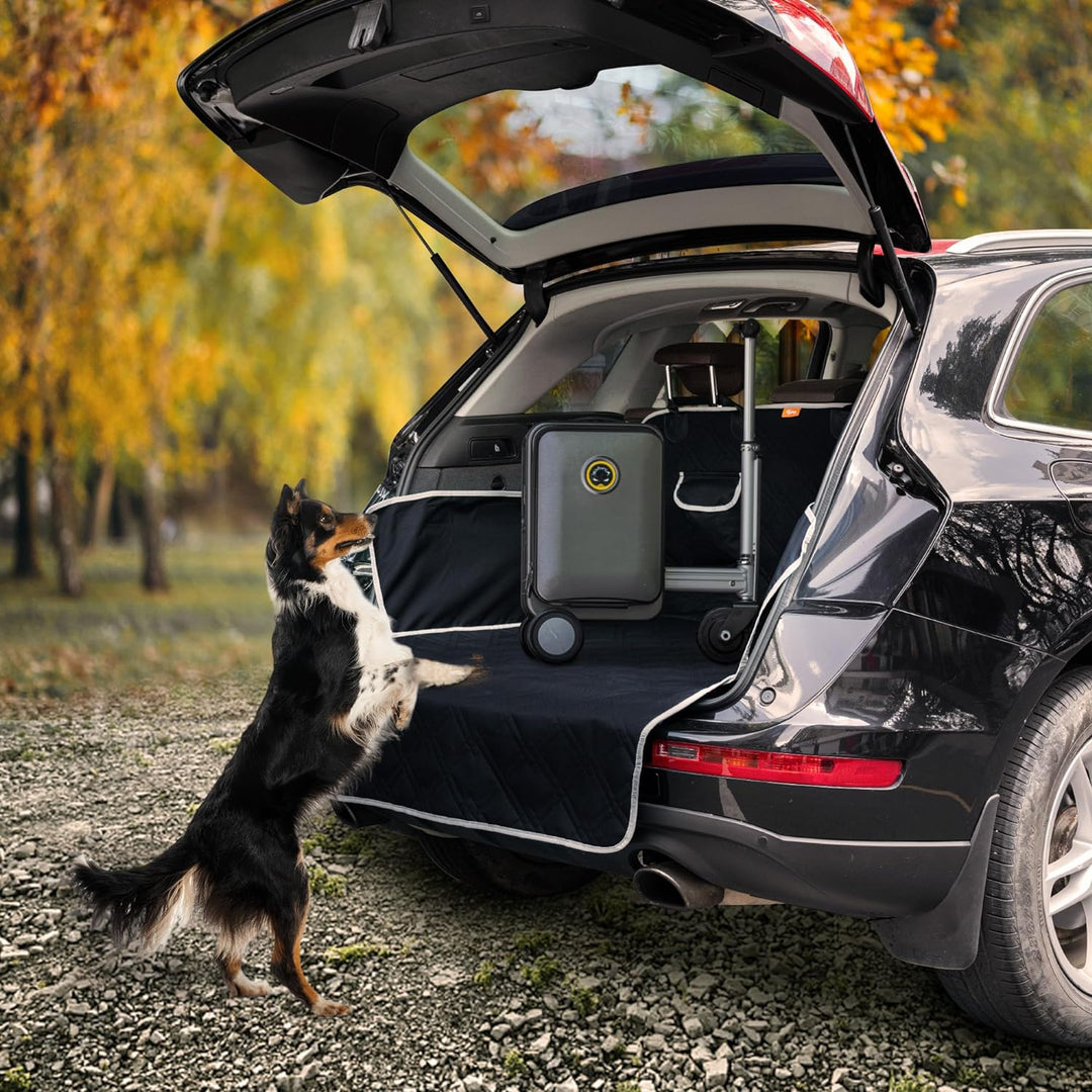 Skanto | Premium Automotive Pet Carrier - Bagasjerom