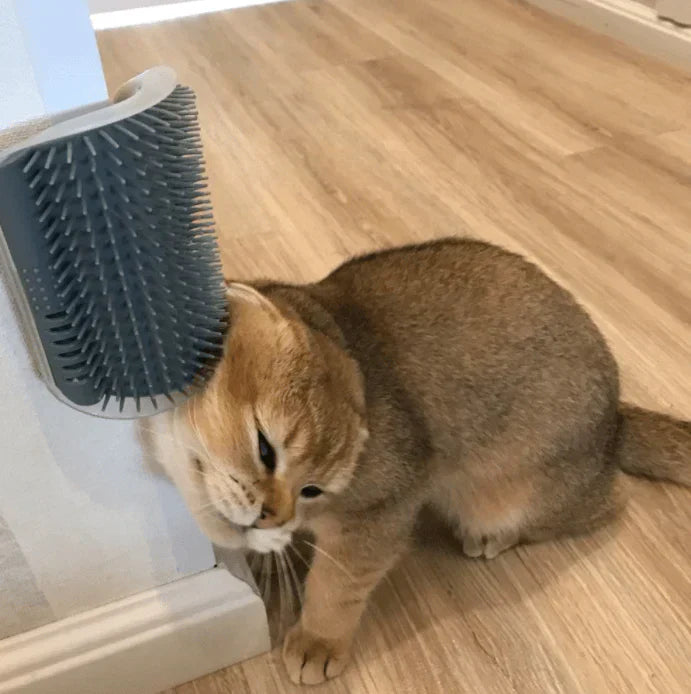 Selvpleie Katt Hjørnebørste – FurRelaxer Skanto