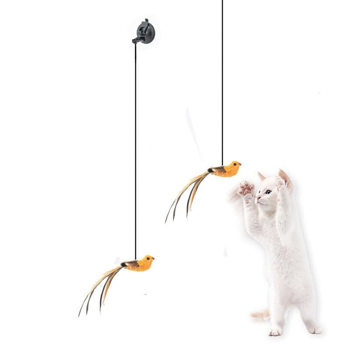 Skanto | Katt leke - HunterCat™