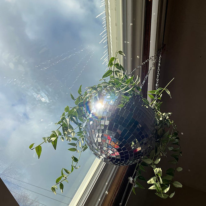 Skanto | Disco Ball Hengende Plante