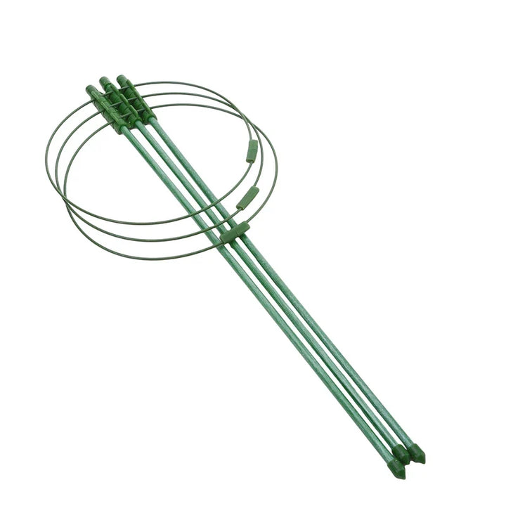 Skanto | Klatre ramme for planter – Solid støtte ring ramme for klatrende planter
