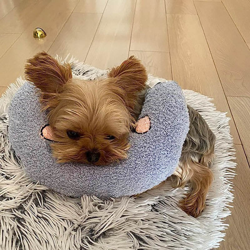 Komfortabel pute for hunder - CalmNest Skanto