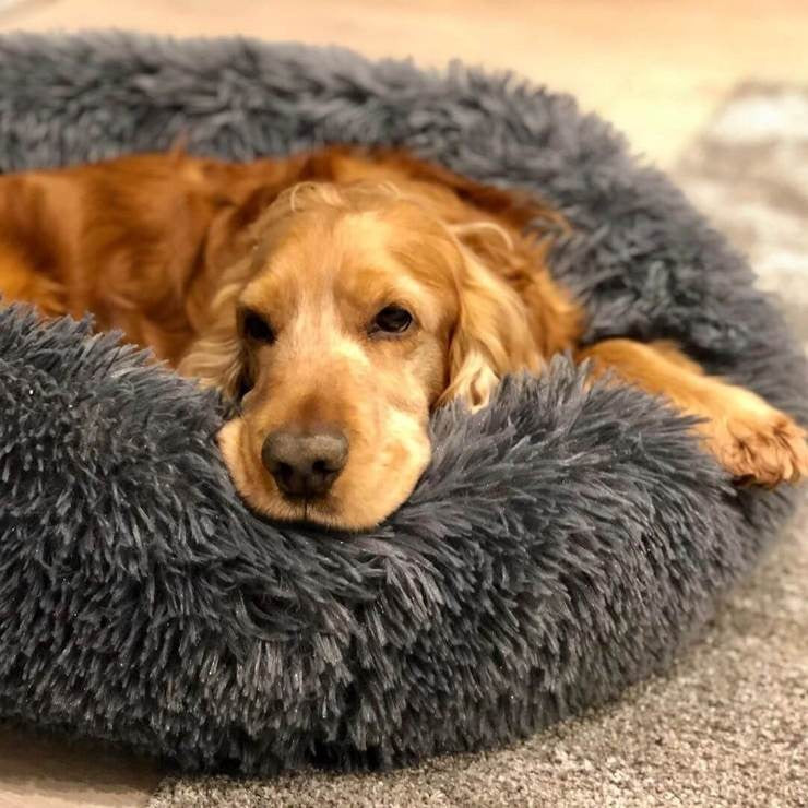 Skanto | Hundeseng Plush Ortopedisk Beroligende Kjæledyrlaken