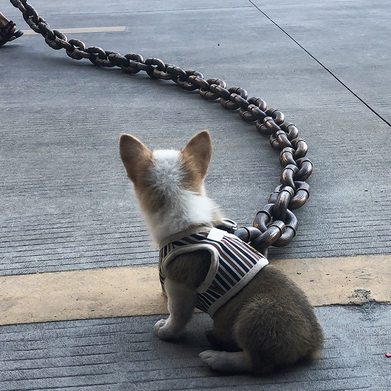 Kult og morsom hundebånd - PawChic Skanto