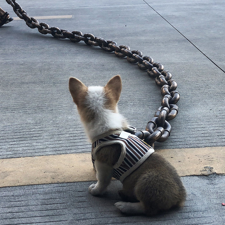 Kult og morsom hundebånd - PawChic Skanto