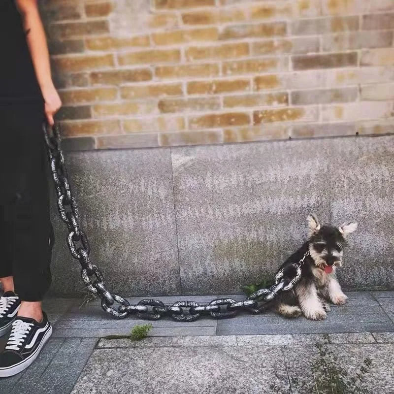 Kult og morsom hundebånd - PawChic Skanto